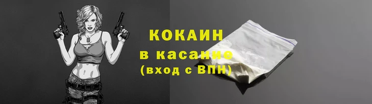 гашик Дмитриев