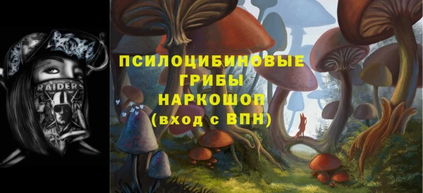 герыч Ельня